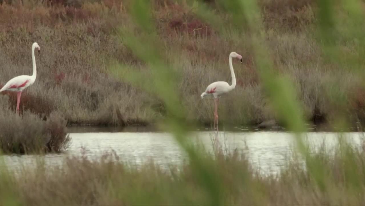 The business case for Nature
