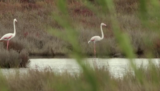 The business case for Nature