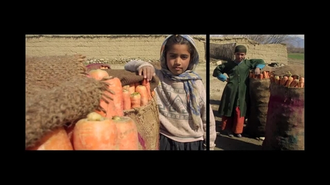 Thumbnail for Urban/Rural Inequality