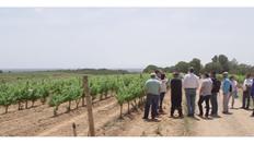 Go to Theory: Mediterranean Approaches to Agriculture with duration: 13 minutes, 32 seconds