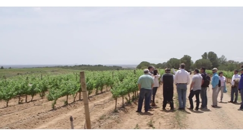 Thumbnail for Theory: Mediterranean Approaches to Agriculture