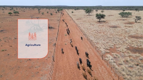 Thumbnail for MEL for NAP in Namibia