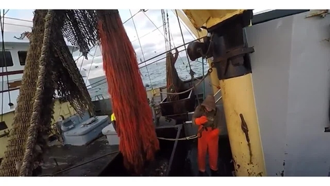 Thumbnail for Fisheries Economics and Management