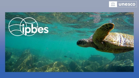 Thumbnail for Biodiversity and Ecosystems