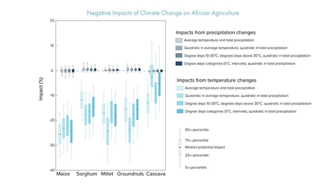 Thumbnail for Climate Change Adaptation and Mitigation