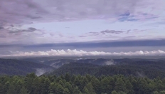 Go to Sustainable Food Systems: A Mediterranean Perspective - Trailer with duration: 2 minutes, 38 seconds