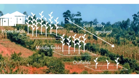 Thumbnail for entry Soil Fertility Management