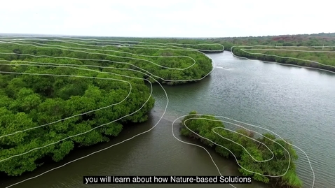 Thumbnail for entry Nature-based Solutions for Disaster and Climate Resilience - Trailer