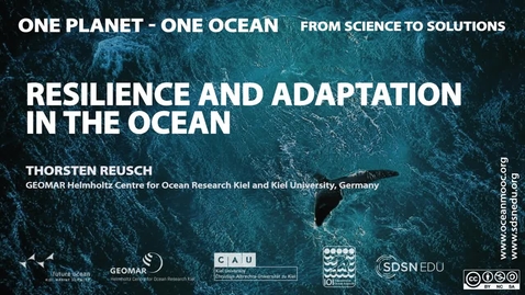 Thumbnail for Resilience and Adaptation in the Ocean