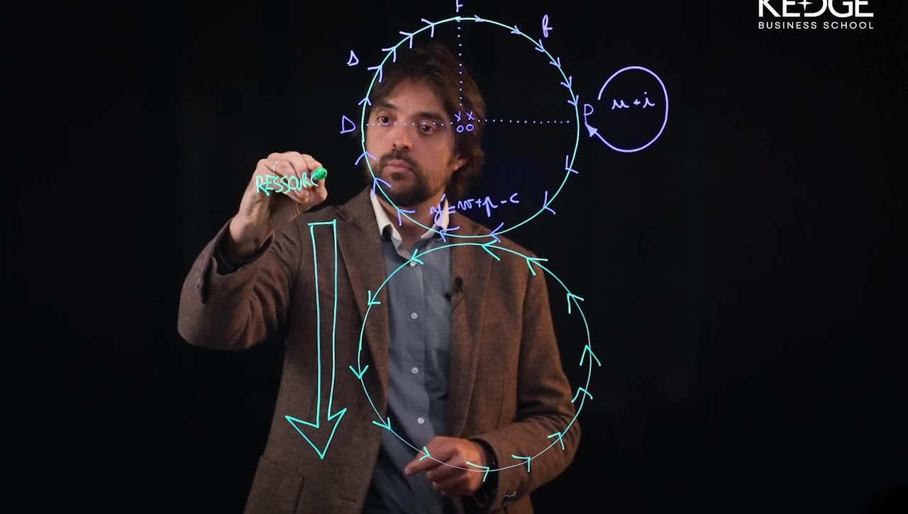 La macroéconomie écologique (Ecological macroeconomics)