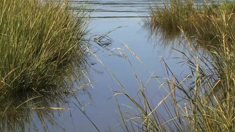 Thumbnail for entry Protecting wetlands by changing cropping practices on private land, using behavioural insights