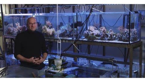 Thumbnail for Coastal Ecosystems