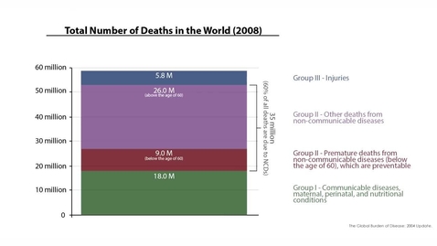 Thumbnail for Introduction to Non-Communicable Diseases
