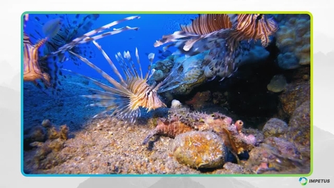 Thumbnail for Transitioning to a Sustainable Blue Economy