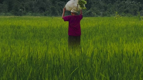 Thumbnail for Building comprehensive social protection systems with a solid social protection floor