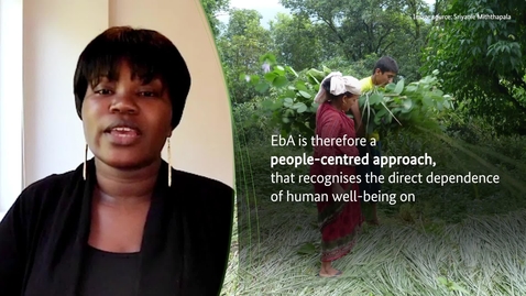 Thumbnail for Elements of EbA: EbA makes use of biodiversity and ecosystem services