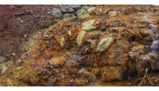 Go to Cross-Sectoral Issues: The Case of Small-Scale Gold Mining with duration: 8 minutes, 31 seconds