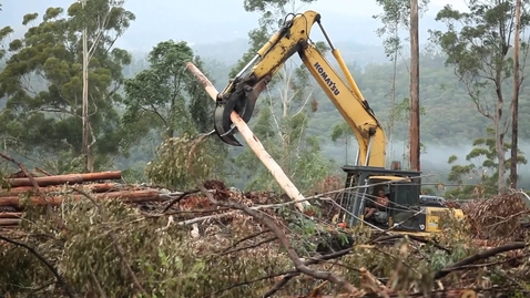Thumbnail for Defending our Common Home: Global and Local Actions