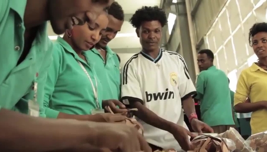 Collective vs. Individual Rights