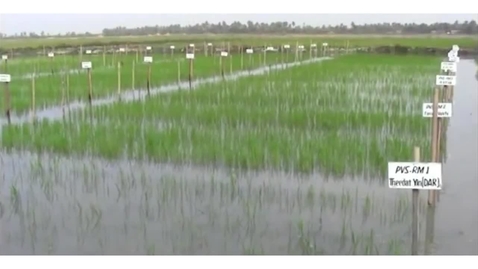 Thumbnail for Crop Protection
