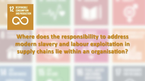 Thumbnail for Implementing SDG 12: Responsible consumption and production