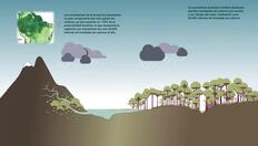 Go to Climate regulation in the Amazon with duration: 6 minutes, 34 seconds