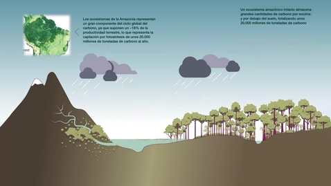 Thumbnail for Climate regulation in the Amazon