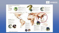 Go to An Epidemic of Epidemics with duration: 15 minutes, 23 seconds