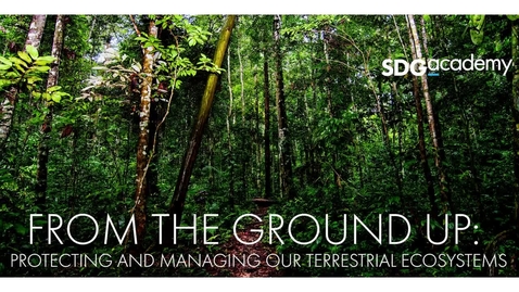 Thumbnail for entry From the Ground Up: Protecting and Managing our Terrestrial Ecosystems - Trailer