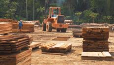 Go to Clandestine Economies in the Amazon with duration: 9 minutes, 12 seconds
