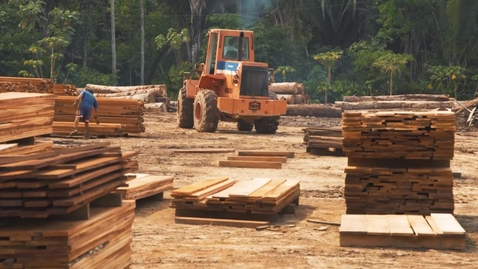 Thumbnail for Clandestine Economies in the Amazon