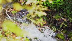 Go to Water Resource Governance: From Source to Sea: Accelerating Progress with duration: 11 minutes, 28 seconds