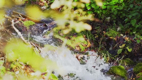 Thumbnail for Water Resource Governance: From Source to Sea: Accelerating Progress