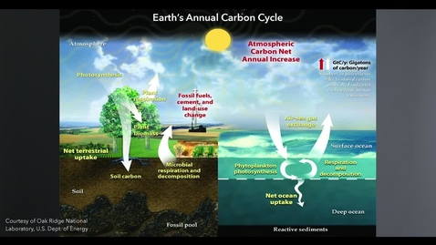 Thumbnail for Feedback Mechanisms and the Carbon Cycle