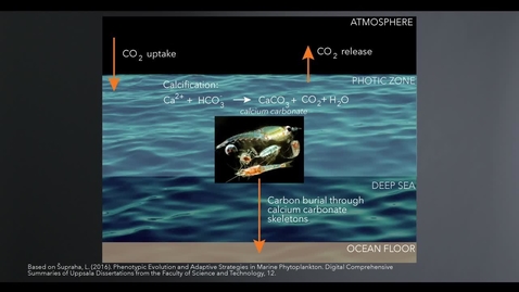 Thumbnail for entry Carbon Cycle Feedbacks