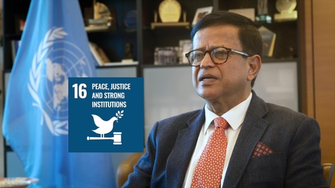 Thumbnail for The SDGs and the Private Sector