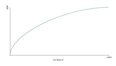 Go to The Full-Employment Economy with duration: 18 minutes, 10 seconds
