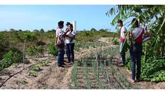 Go to Putting Sustainable Forest Management Into Action with duration: 2 minutes, 23 seconds