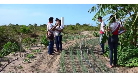 Thumbnail for entry Putting Sustainable Forest Management Into Action