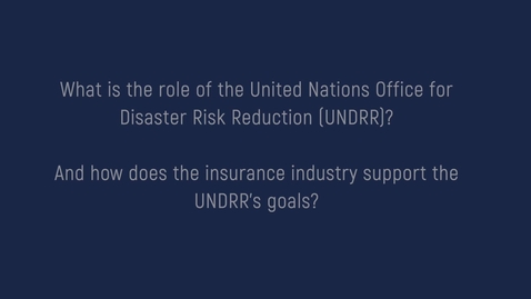 Thumbnail for The Insurance Sector Contribution to SDG 13