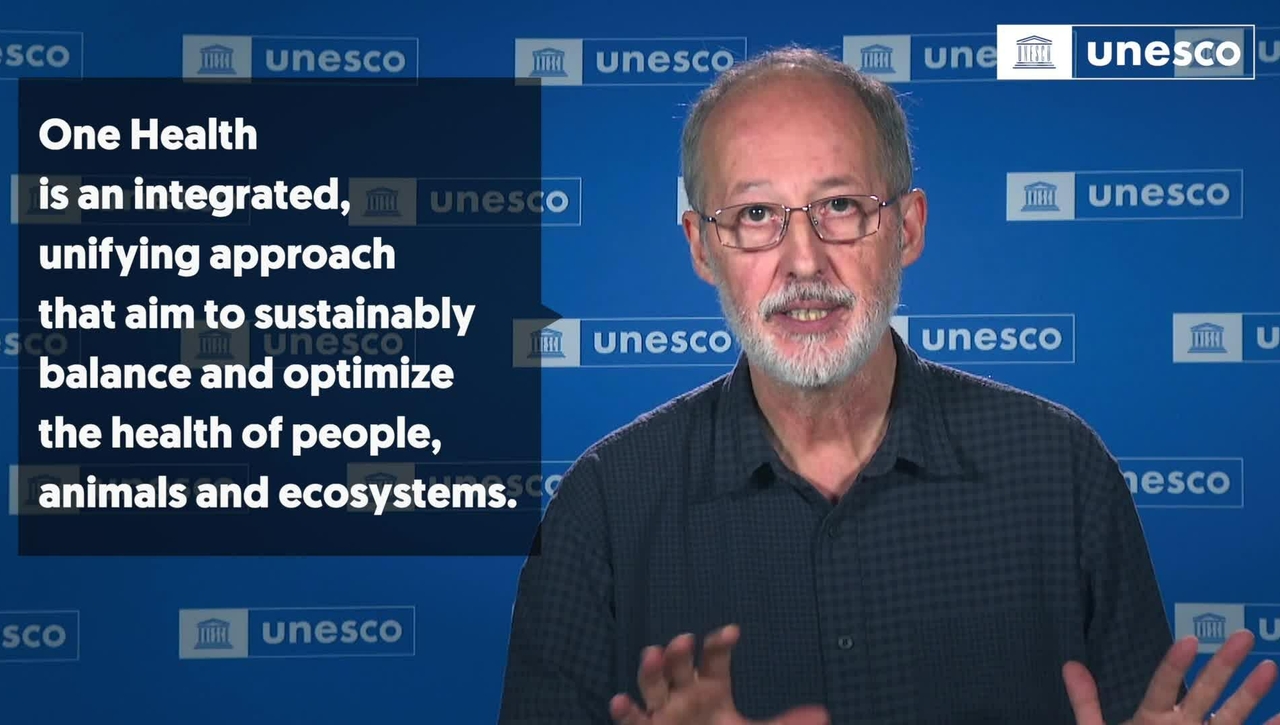 What is "One Health"?