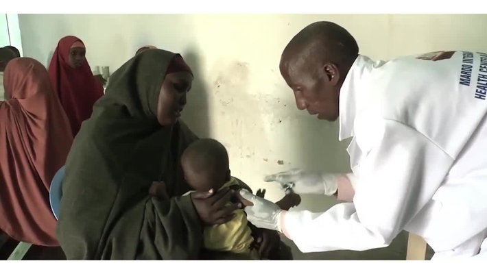 The Impact of Adversity and Toxic Stress on Child Development