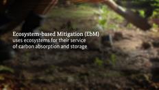 Go to EbA in the context of sustainable development with duration: 3 minutes, 8 seconds