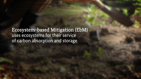 Thumbnail for EbA in the context of sustainable development
