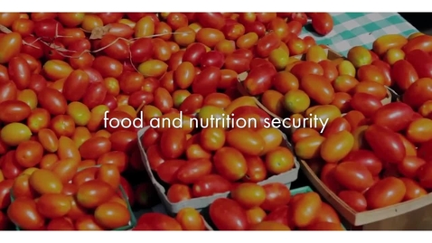 Thumbnail for Agriculture and the Sustainable Development Goals