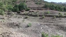 Go to Nature-based Solutions and Agriculture with duration: 10 minutes, 28 seconds