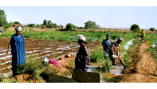 The Great Acceleration