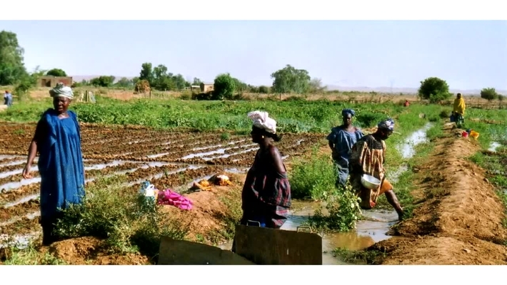 The Great Acceleration