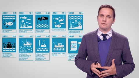 Thumbnail for Introducing SDG 14: Life below water
