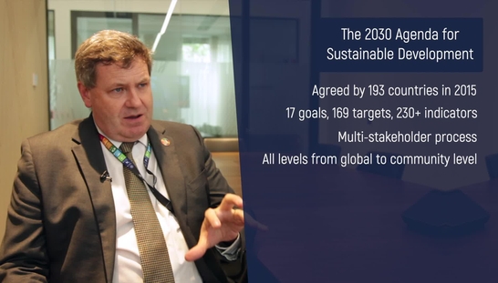 What are the SDGs?